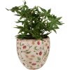 Clayre & Eef 6CE1634L Macetero para Interior Beige Rojo Ø 18x18 cm