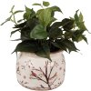 Clayre & Eef 6CE1642L Maceta para Interior Beige Marrón Ø 20x15 cm