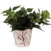 Clayre & Eef 6CE1644 Maceta para Interior Beige Marrón Ø 16x15 cm