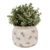 Clayre & Eef 6CE1670M Maceta para interior Beige Ø 16x13 cm
