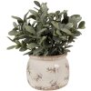 Clayre & Eef 6CE1670S Maceta para interior Beige Ø 12x10 cm