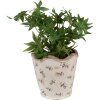 Clayre & Eef 6CE1672L Maceta de interior Beige Ø 19x18 cm