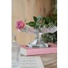 Clayre & Eef 6GL4431 Bol Transparente Ø 23x11 cm
