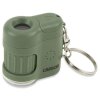 Microscopio de bolsillo Carson MicroMini 20x Verde