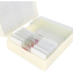 Cone Prep Set Tejido Humano 2 (10 piezas)