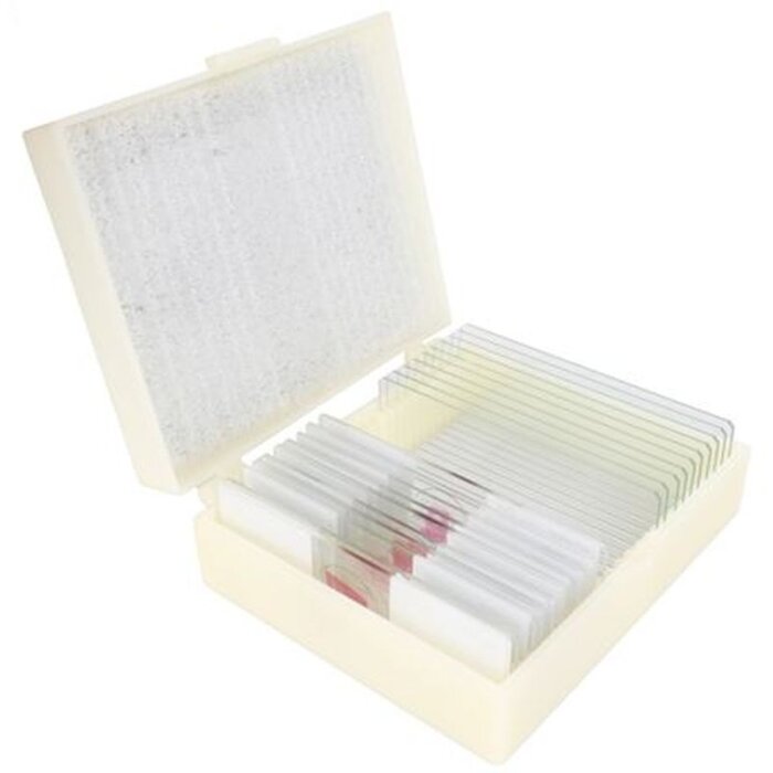 Cono Preparateset Cuerpo Humano 25 piezas Microscopía Biología Material de Aprendizaje