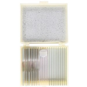 Cono Preparateset Cuerpo Humano 25 piezas Microscopía Biología Material de Aprendizaje
