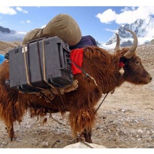 Explorer Cases 4820HL.B Maleta de transporte con espuma negra 480x370x205 mm