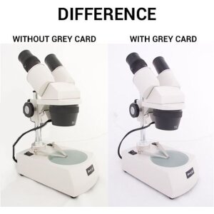 Tarjetas grises Falcon Eyes 1x A5, 1x 10x15 + CD de...
