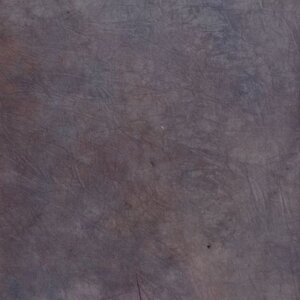 Fondo de tela Ojos de Halcón S122 2,9x7 m