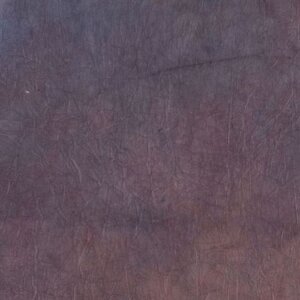 Fondo de tela Ojos de Halcón S122 2,9x7 m