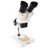 Microscopio estereoscópico Byomic BYO-ST2 - Microscopio de calidad para principiantes
