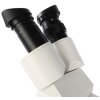 Microscopio estereoscópico Byomic BYO-ST2 - Microscopio de calidad para principiantes