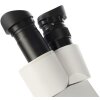 Microscopio estereoscópico Byomic BYO-ST3 - Instrumento de laboratorio profesional