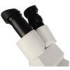 Microscopio estereoscópico Byomic BYO-ST3LED Blanco, Negro