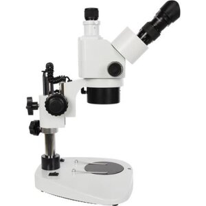 Microscopio estereoscópico Byomic BYO-ST341 LED...