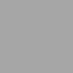Fondo de tela Ojos de Halcón BCP-03 2,9x5 m Gris Lavable