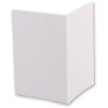 Benel carpeta de fotos para pasaporte blanca 500 unidades 58x84 mm Chromolux brillante