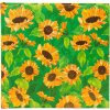 Goldbuch álbum de fotos Verde girasol 25x25 cm 60 páginas blancas