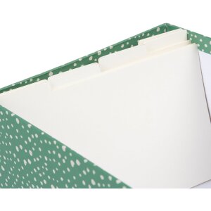 Goldbuch Florentine caja de fotos para 700 fotos 10x15 cm con pestañas