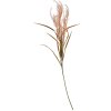 Clayre & Eef 5PL0056 Decoración Rama 4x4x88 cm Beige