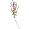Clayre & Eef 5PL0057 Decoración Rama 4x4x88 cm Marrón