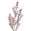 Clayre & Eef 5PL0058 Decoración Rama 6x6x72 cm Rosa