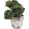 Clayre & Eef 6CE1658XS Decoración Maceta Ø 11x10 cm Beige Azul