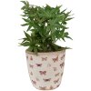 Clayre & Eef 6CE1661L Decoración Maceta Ø 16x16 cm Beige Rosa