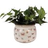 Clayre & Eef 6CE1662L Decoración Maceta Ø 20x15 cm Beige Rosa