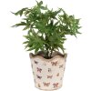 Clayre & Eef 6CE1664M Maceta decorativa Ø 16x15 cm Beige Rosa