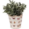 Clayre & Eef 6CE1664S Maceta Ø13x12 cm Cerámica Beige Rosa Mariposa