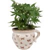 Clayre & Eef 6CE1665L Decoración Maceta 20x17x15 cm Beige Rosa