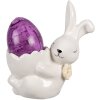 Clayre & Eef 6CE1700 Huevera Conejito Blanco 10x6x11 cm Estilo campestre
