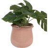 Clayre & Eef 6CE1714P Maceta Rosa Ø 16x15 cm Cerámica Borde Ondulado