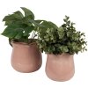 Clayre & Eef 6CE1714P Maceta Rosa Ø 16x15 cm Cerámica Borde Ondulado