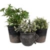 Clayre & Eef 6CE1719L Decoración Maceta Ø 17x16 cm Negro Marrón