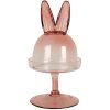 Clayre & Eef 6GL4385 Jarra de vidrio rosa Ø 12x23 cm - Presentación elegante