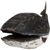 Clayre & Eef 6H2349 Ballena decorativa 36x15x23 cm Negro Blanco