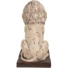 Clayre & Eef 6MG0043 León Barroco Decoración Beige 30x23x45 cm