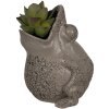 Clayre & Eef 6PR5059 Florero Decoración Rana 19x18x23cm Gris