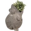 Clayre & Eef 6PR5060 Macetero decorativo Rana 26x25x32 cm Gris