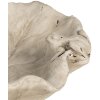 Clayre & Eef 6TE0501 Comedero para pájaros Beige Ø 22x6 cm