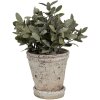 Clayre & Eef 6TE0503L Macetero Beige Ø 13x14 cm