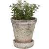 Clayre & Eef 6TE0503M Maceta Beige Ø 11x12 cm