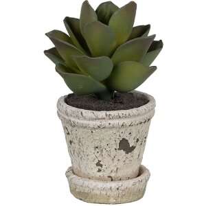 Clayre & Eef 6TE0503S Macetero Beige Ø 9x9 cm - Decoración con estilo