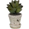 Clayre & Eef 6TE0503S Macetero Beige Ø 9x9 cm - Decoración con estilo