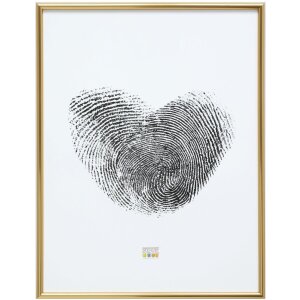 Deknudt S011A4 Marco Oro Liso 29,7x42 cm Plástico