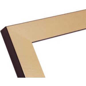 Deknudt S47BB2 marco dorado con borde negro 50x70 cm plástico