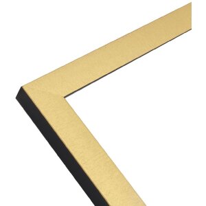 Marco Deknudt S47EB2 dorado con borde negro 30x40 cm